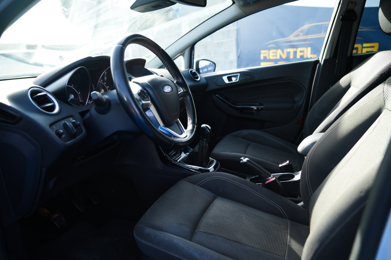 AB907UP-FORD-FIESTA-2015-GRIGIO (3)