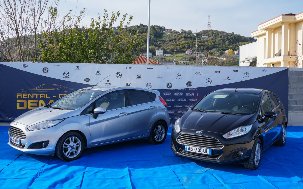 AB907UP-FORD-FIESTA-2015-GRIGIO (4)