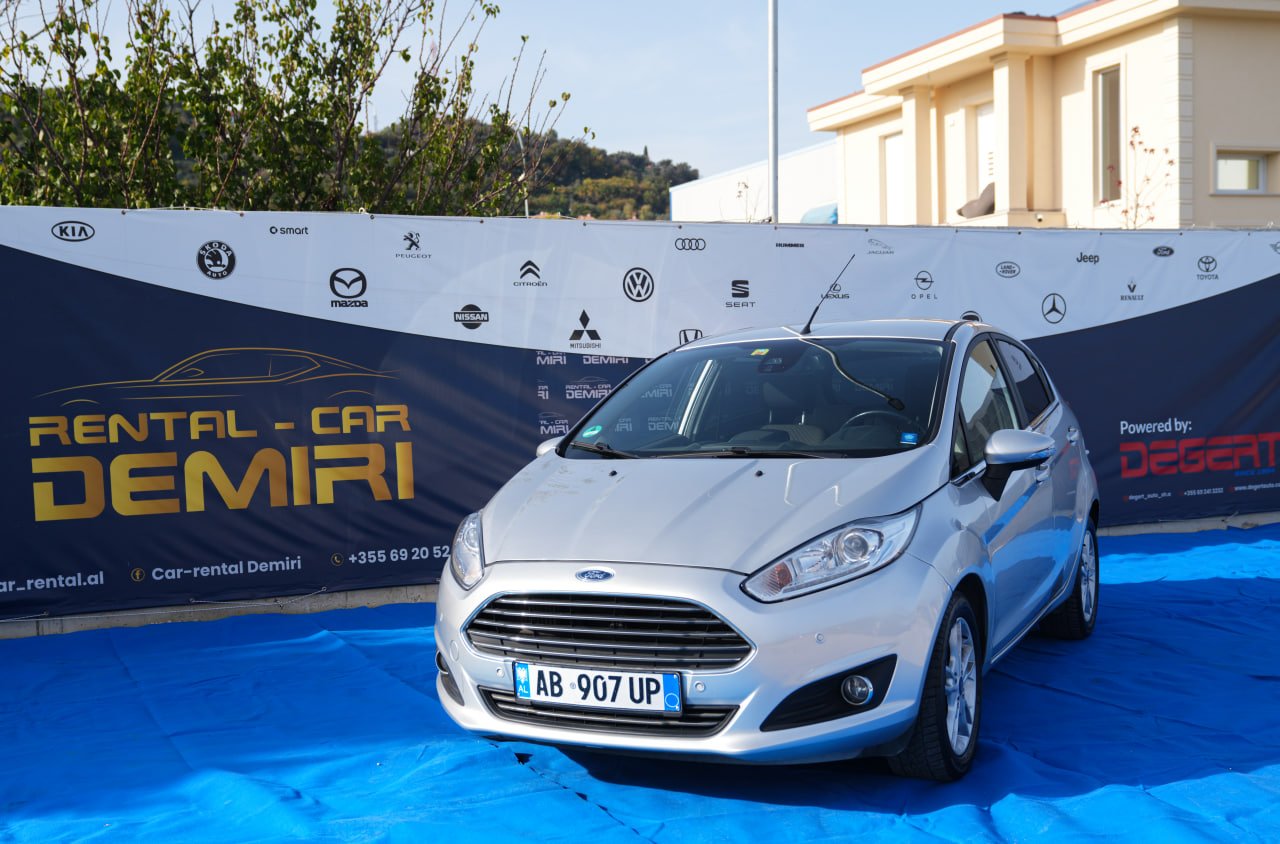 AB907UP-FORD-FIESTA-2015-GRIGIO (5)